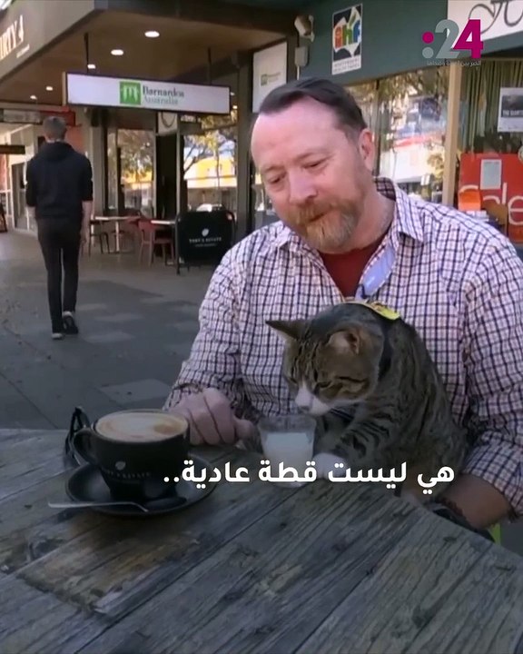 قطة تعالج الاضطرابات النفسية