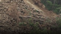 [영상] 어디든 안심할 수 없는 산사태...'독특한 냄새' 전조증상 / YTN
