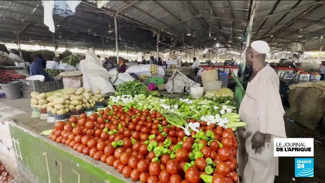 Près de 3 millions de déplacés soudanais : certains ont trouvé refuge à Wad Madani, à 150 km de Khartoum