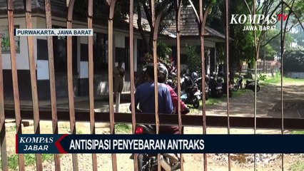 Cara Pemda Purwakarta Antisipasi Antraks