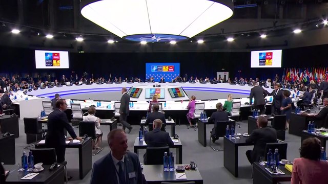 나토 31개국 정상, 러시아 동맹 벨라루스 인근 총 집결...푸틴 압박 / YTN