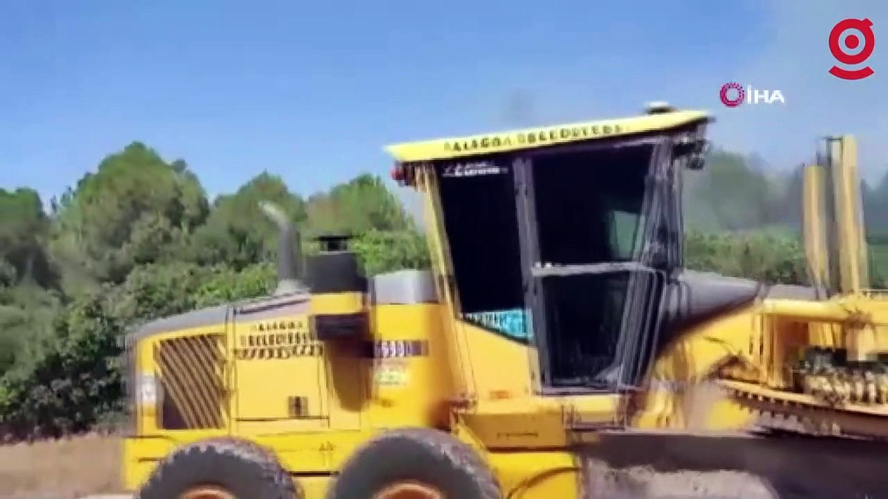 İzmir'deki orman yangınlarında soğutma çalışmaları sürüyor