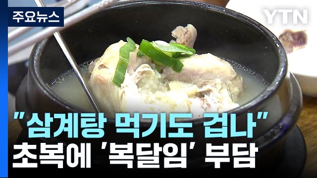 삼계탕 먹기 겁나 ...치솟는 가격에 복달임 부담 [앵커리포트] / YTN