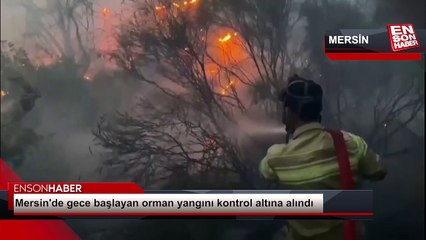 Mersin'de gece başlayan orman yangını kontrol altına alındı