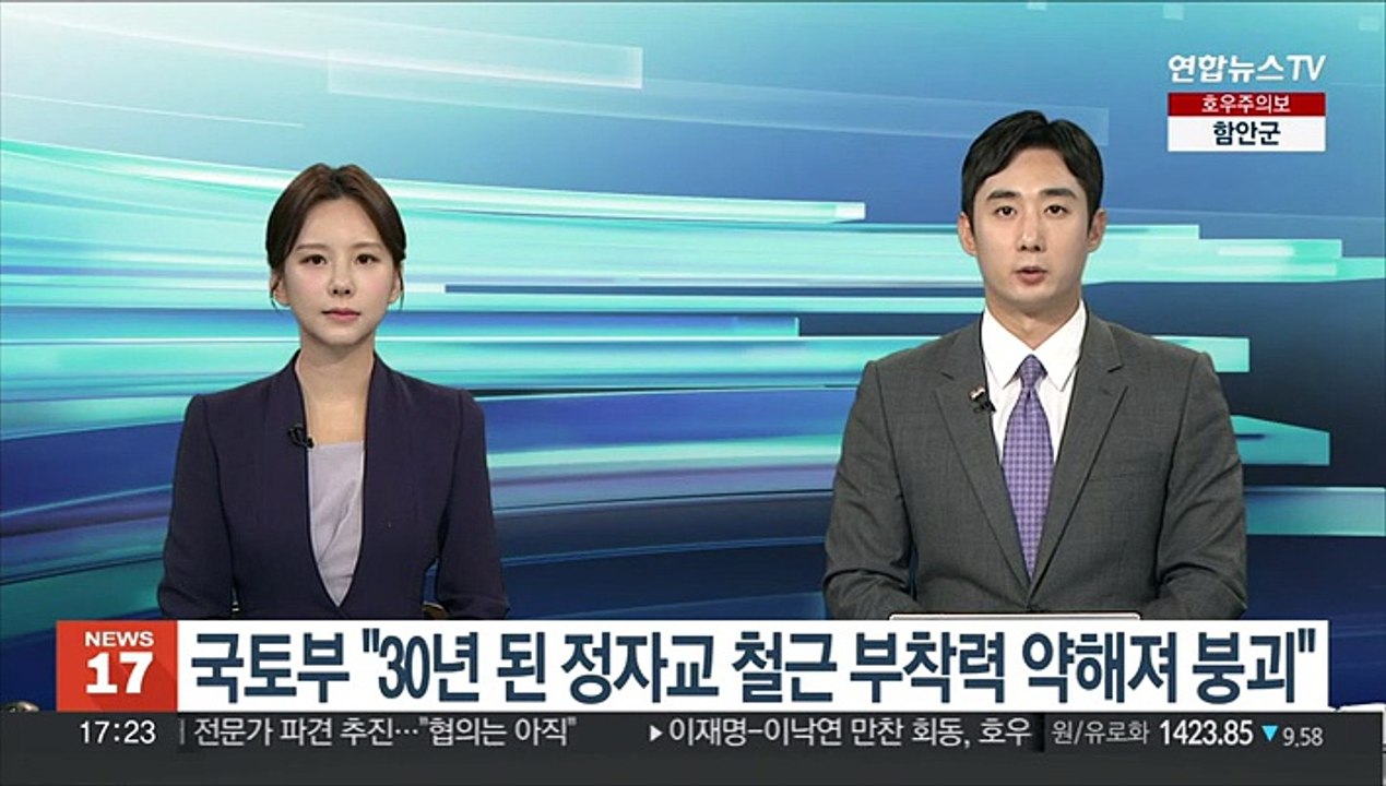 국토부 "30년 된 정자교 철근 부착력 약해져 붕괴"