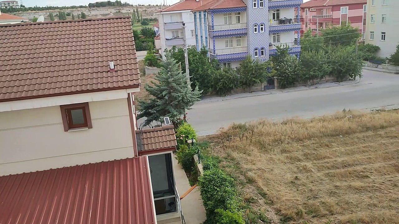 Olgunlaşan kayısıları toplayarak tam verim almak.