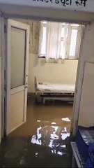 Monsoon: 'इंद्रदेव' मेहरबान होते ही SMS Hospital Exposed! पानी में डूबे मरीजों के वार्ड, छतों से टपका पानी, देखें वीडियो