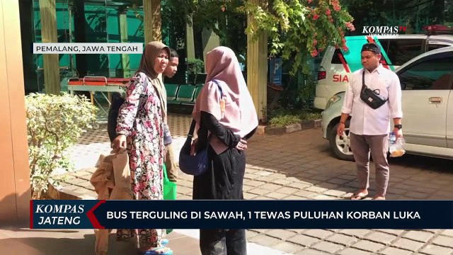 Bus Terguling di Sawah, Satu Tewas, Puluhan Korban Luka