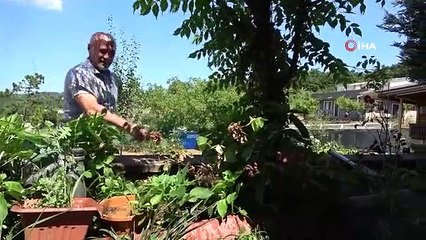 15 Temmuz Gazisi Üzeyir Civan: 'Ben kolumu kaybetmiştim ama cennet vatanımı kaybetmemişim'