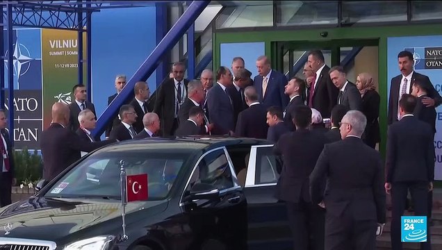 'Historic day': Turkey drops veto, agrees to back Swedish NATO bid