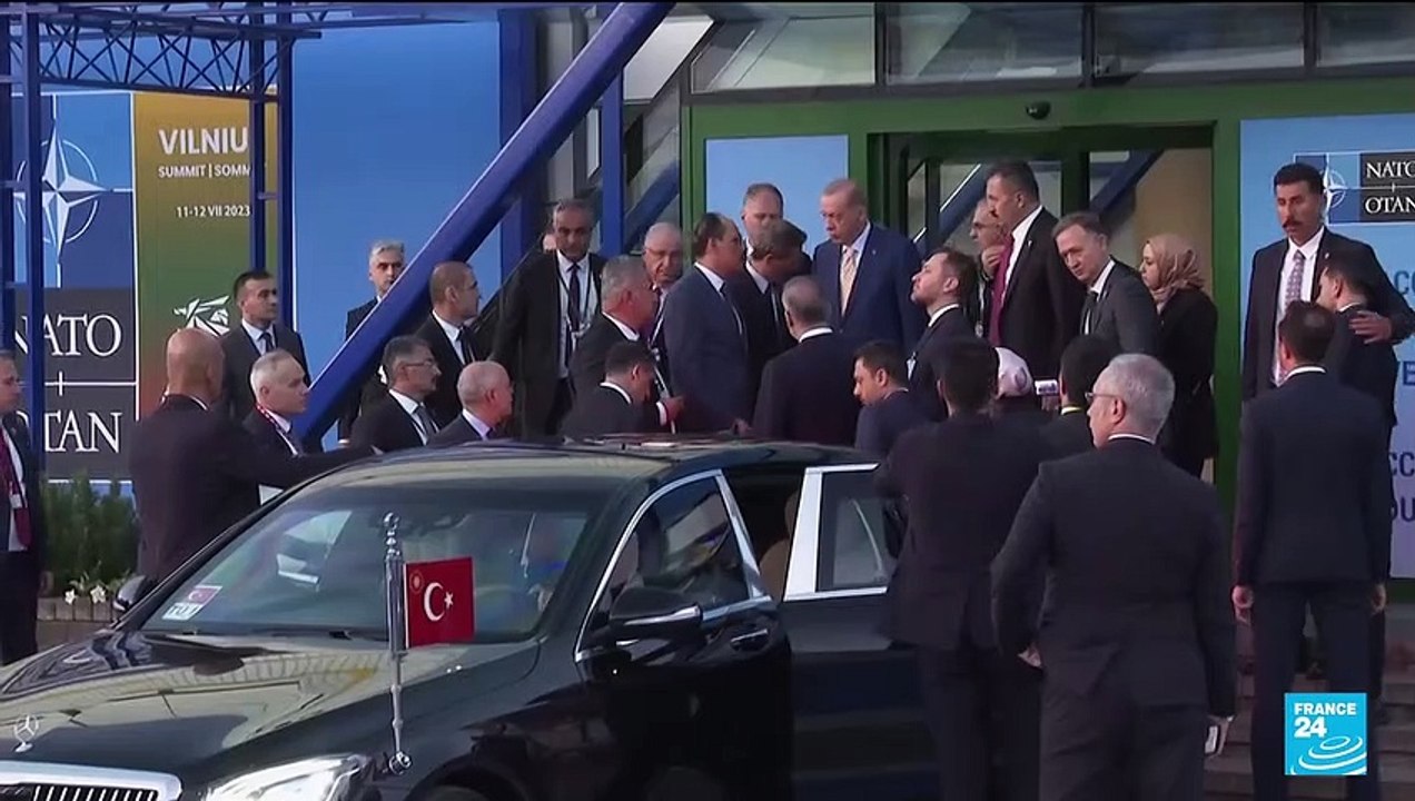 'Historic day': Turkey drops veto, agrees to back Swedish NATO bid