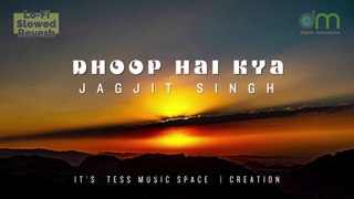 Dhoop Hai Kya - Jagjit Singh (Lofi - Reverb)