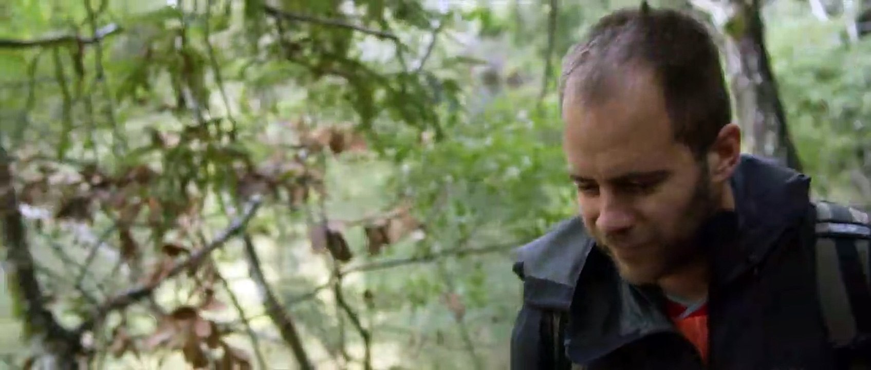 Cat Daddies - Freunde für sieben Leben Trailer OV