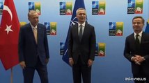 Vertice Nato a Vilnius, via libera all'adesione della Svezia