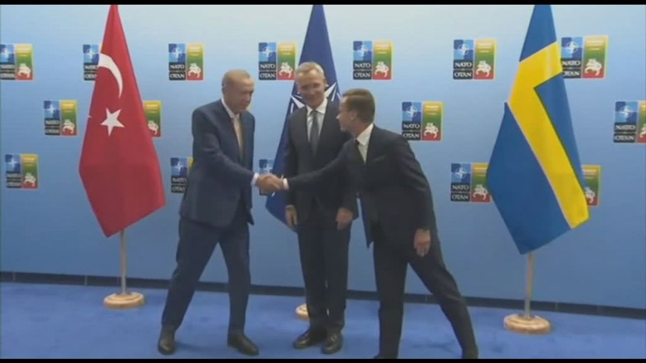 Vertice Nato a Vilnius, via libera all'adesione della Svezia