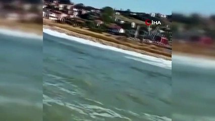 Sie hörten nicht auf das Verbot in Arnavutköy und gingen ins Meer