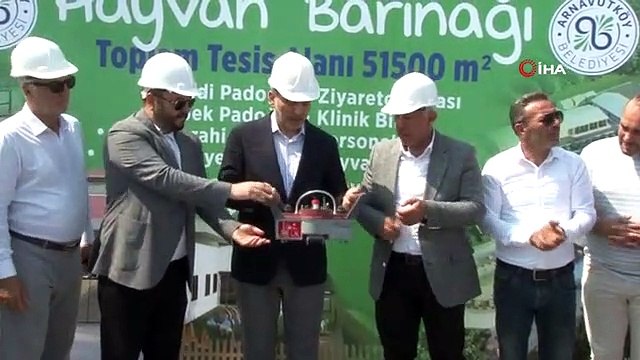 Arnavutköy'de sokak hayvanları için dev proje: 51 bin 500 metrekarelik alanın temeli atıldı