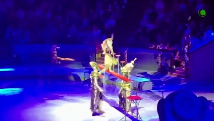 That's Why Wolves Don't Perform at the Circus !!!