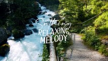 Beautiful Relaxing Music -  Waterfall sounds for sleeping, Stress Relief, Calming music