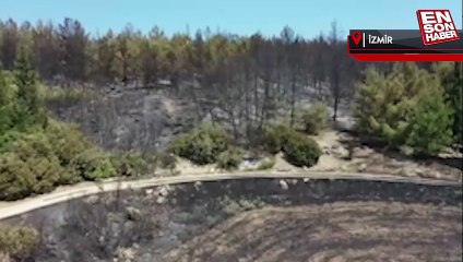 Menderes'teki yanan bölge havadan görüntülendi
