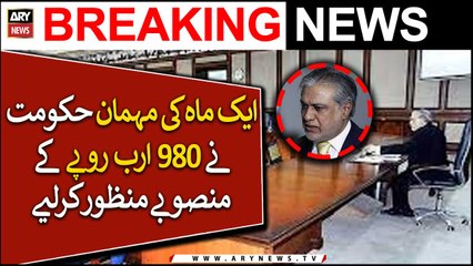PML-N government approves projects worth 980 billion rupees