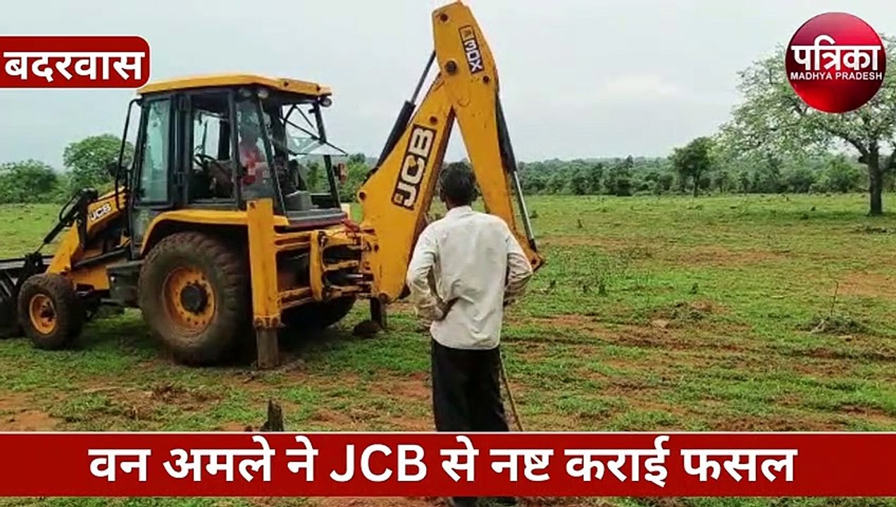 यहां धड़ल्ले से काटे जा रहे जंगल, चल रहा अतिक्र...