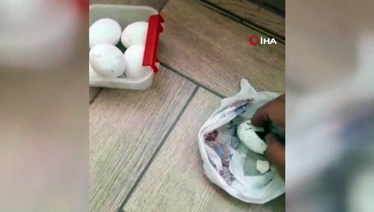 Alle Eier, die er bei BİM gekauft hatte, erwiesen sich als schlecht.
