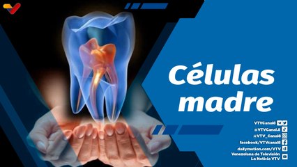 Actitud Saludable | Regeneración de cartílago mediante el uso de células madre de pulpa dental