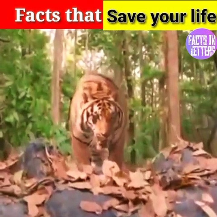 Facts that will be save your life a day.