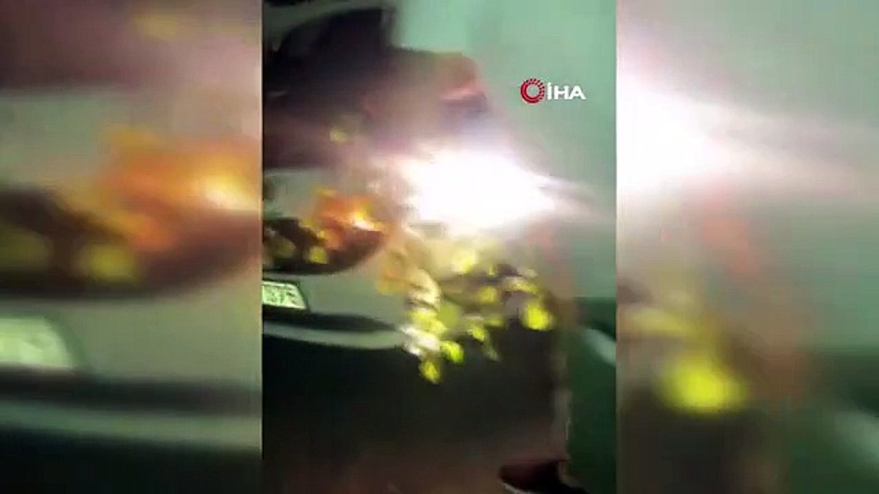 Die Viperschlange drang in die Motorhaube des Fahrzeugs ein, der Bürger wurde in die Natur entlassen