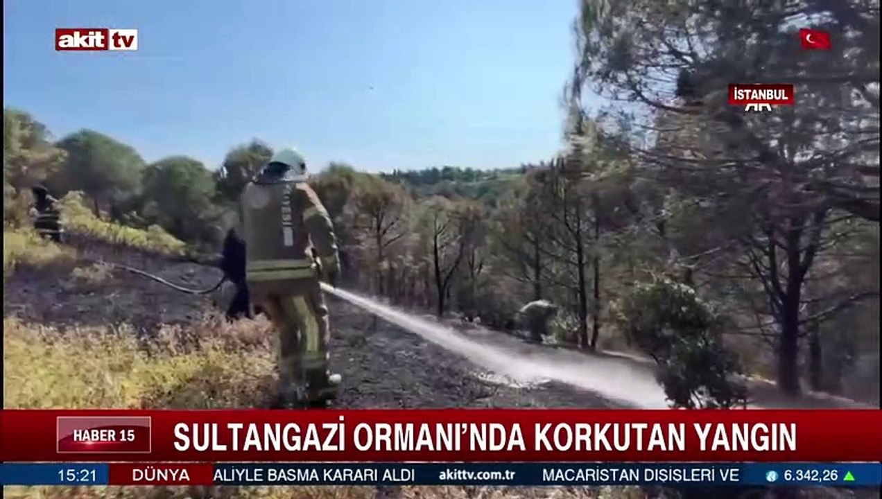 Sultangazi Ormanı'nda korkutan yangın