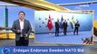 Turkey's President Greenlights Sweden's NATO Application