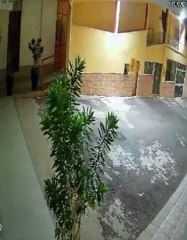 Homem invade igreja e sai caminhando com mesa de som