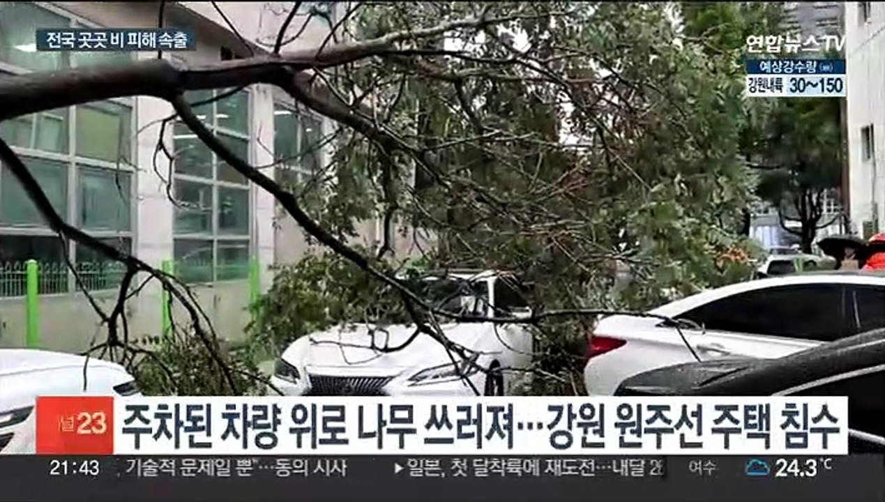 집중호우에 어린이집 천장 무너지고 나무 쓰러져…부산선 1명 실종