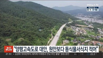 "양평고속도로 대안, 원안보다 동식물서식지 적어"