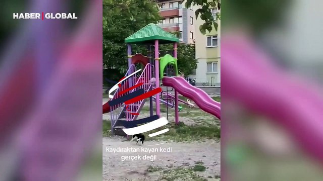 Kendi kendine oyunlar oynadı: Sokak kedisinin kaydıraktan kayarak eğlendiği anlar güldürdü