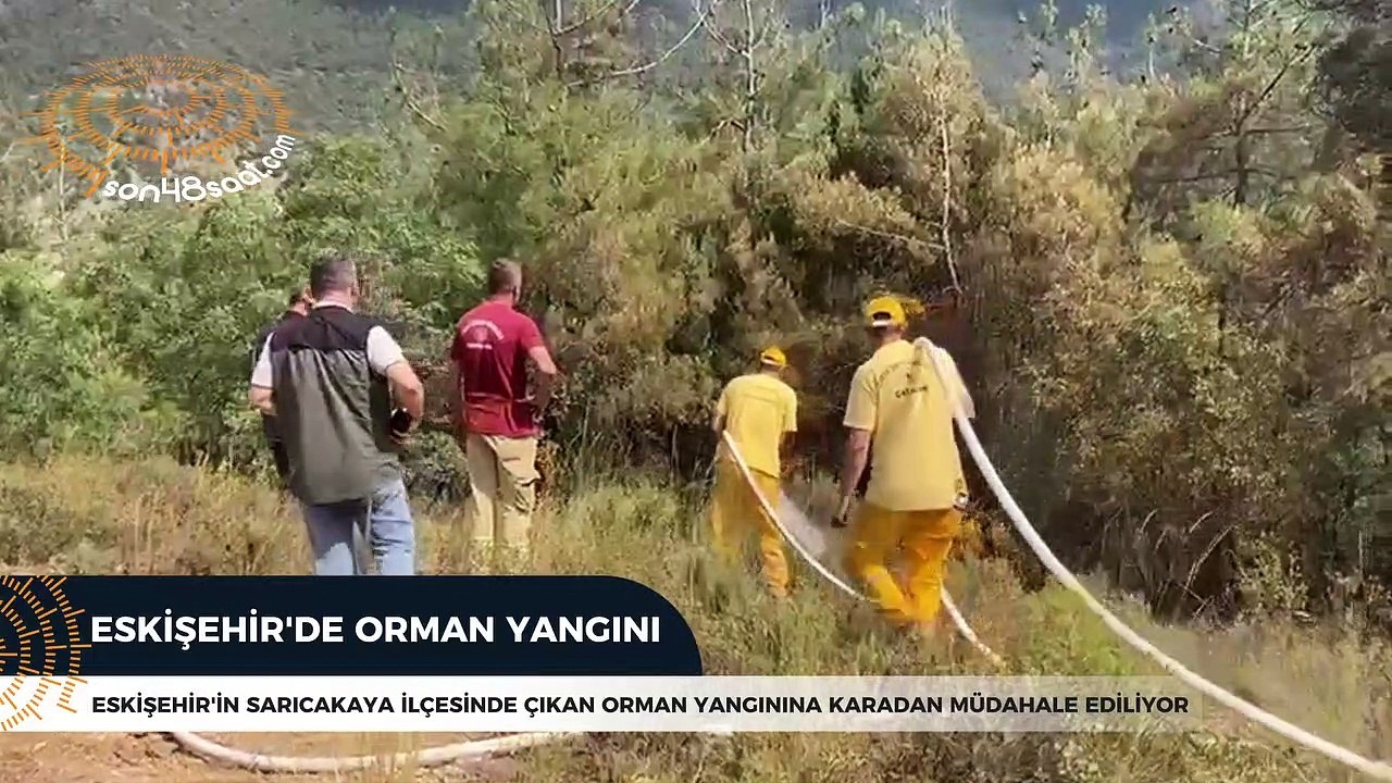 Eskişehir'de orman yangını