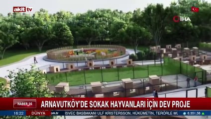 Arnavutköy'de sokak hayvanları için dev proje