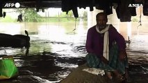 India, almeno 44 morti per le piogge monsoniche