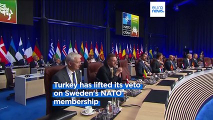 Zelenskyy hits out at NATO's 'absurd' membership delay