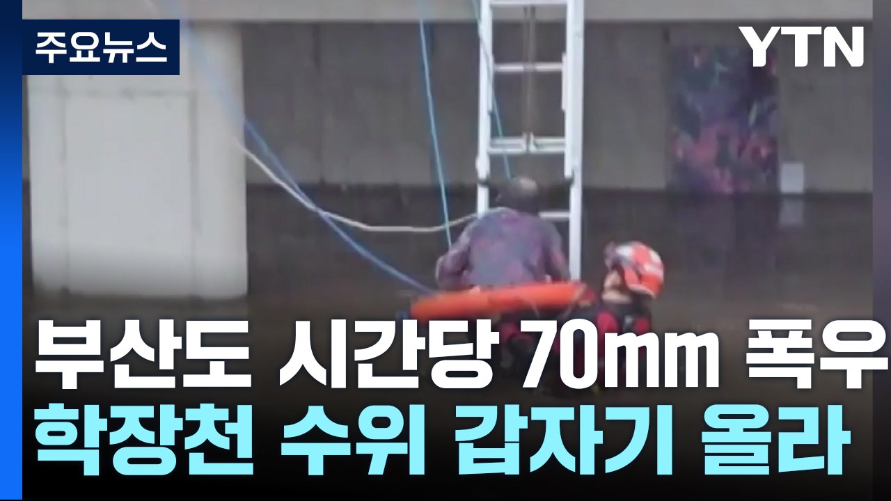 집중 호우에 불어난 부산 학장천에서 행인 1명 실종 / YTN