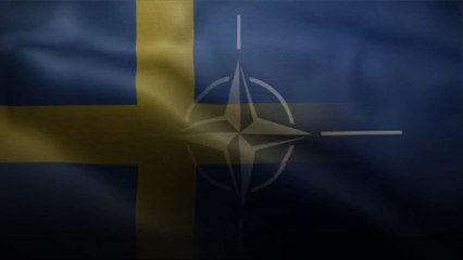 La Turquie débloque l'adhésion de la Suède à l'OTAN