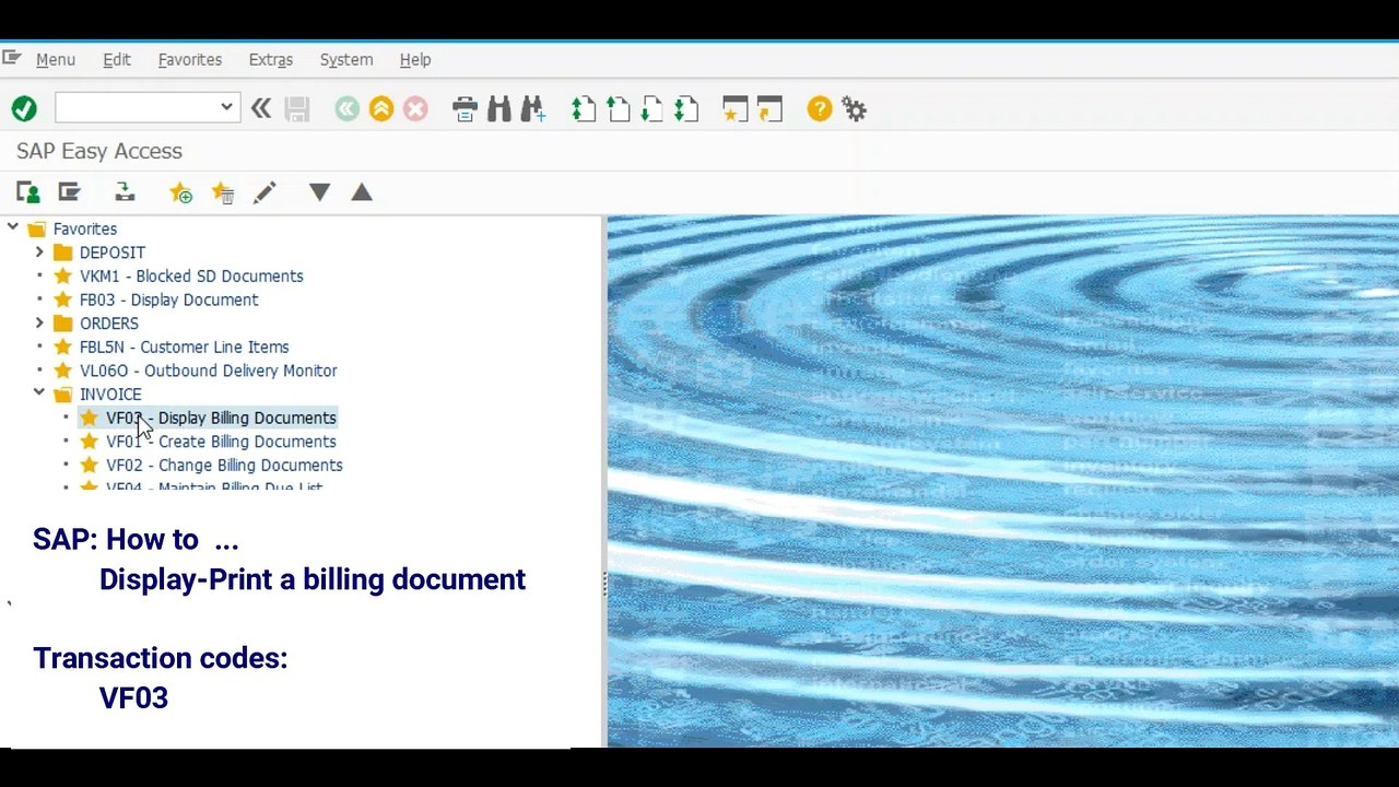 SD Display-Print a billing document