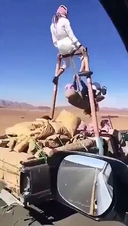 wonders of the universe 7