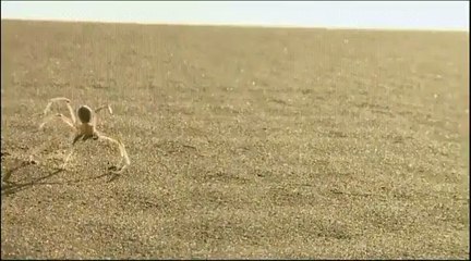 wonders of the universe 5