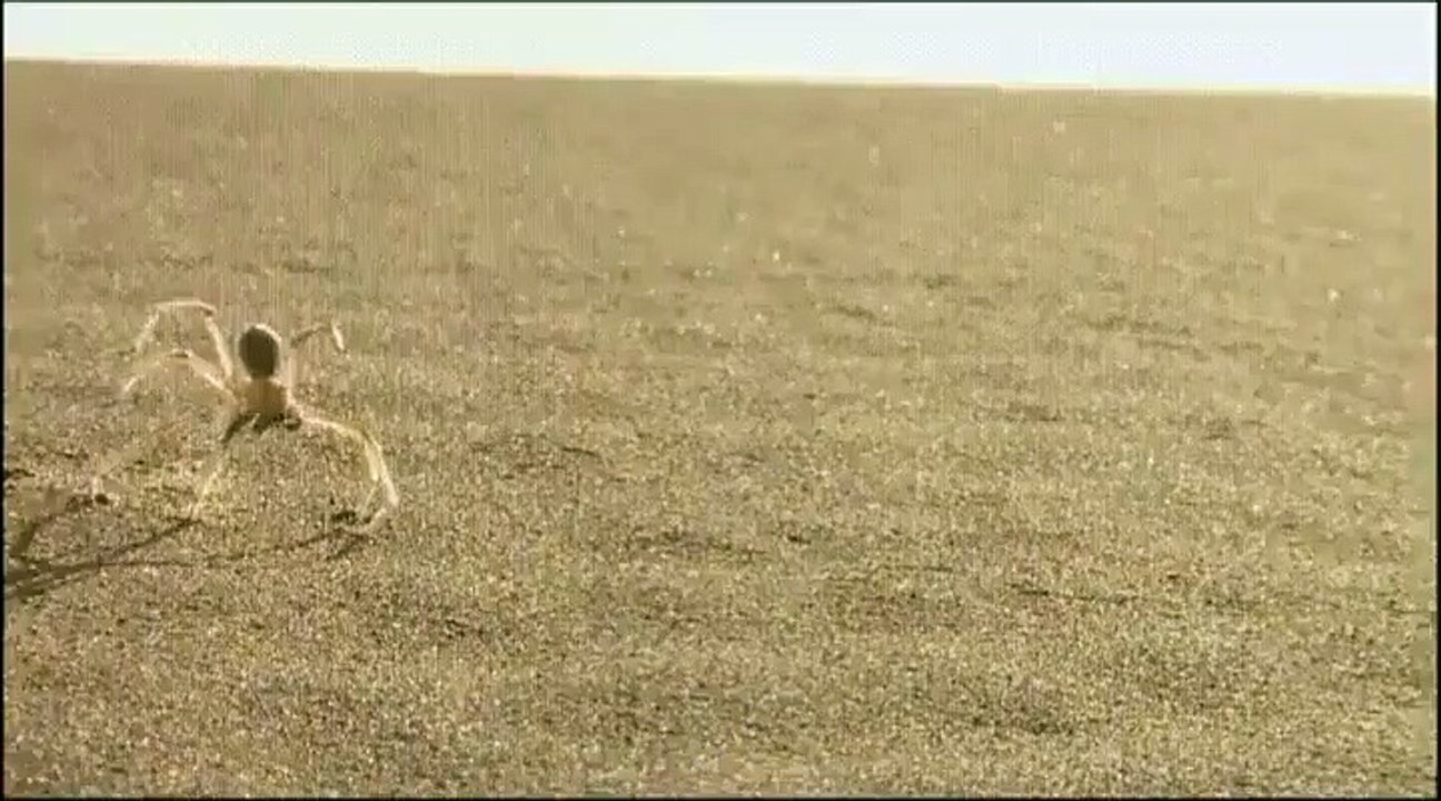 wonders of the universe 5