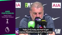 Maddison can be a leader at Spurs - Postecoglou