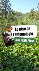 Le père de l'entomologie ! Jean Henri Fabre