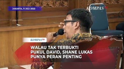 Saksi Ahli Pidana Sebut Shane Lukas Punya Peran Penting Walau Tak Terbukti Pukul David