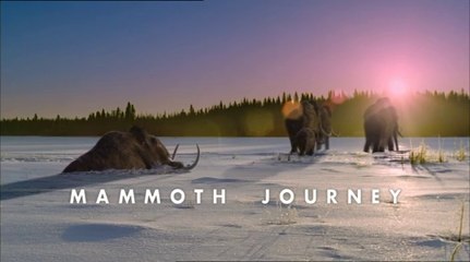 Walking With Beasts - Ep 6 Mammoth Journey (2001) [576p]